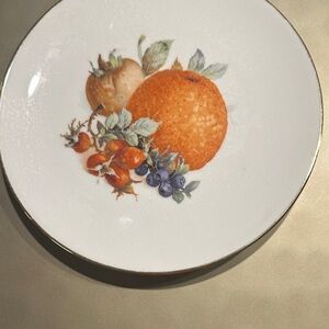 Vibrant Fruit Design Dinner Plate